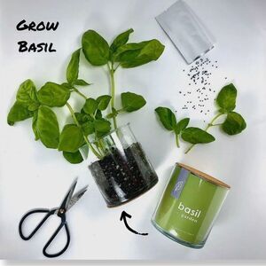 SOLD OUT- Grow Basil Kit / Giftable